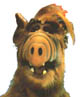 ALF